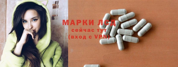 сатива Армянск