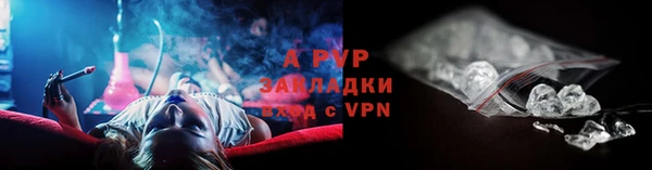 сатива Армянск