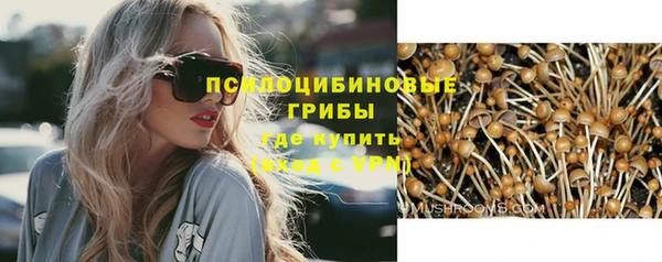 сатива Армянск