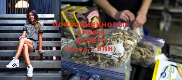 сатива Армянск